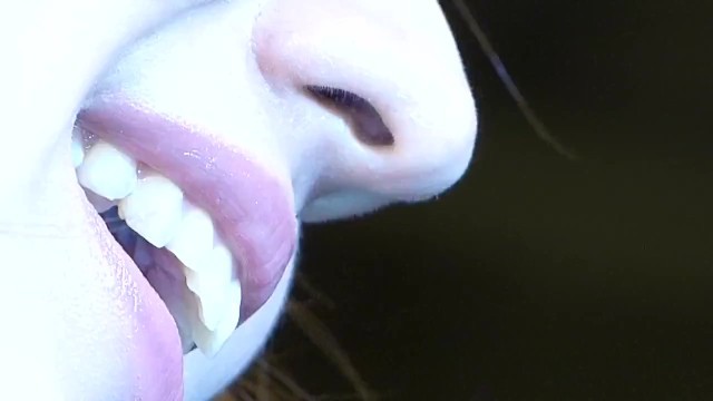 Japanese Woman's Lips & Teeth Up Close 4