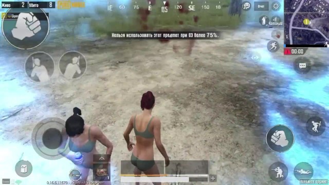 my epic top 2 in pubg mobile!
